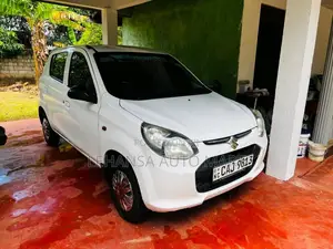 Suzuki Alto 2015 Car (Used)