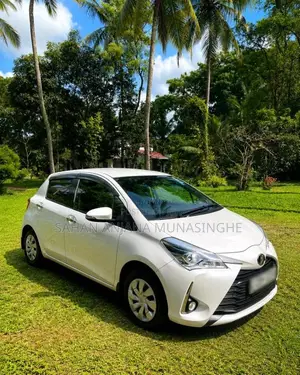 Toyota Vitz 2019 Car (Used)