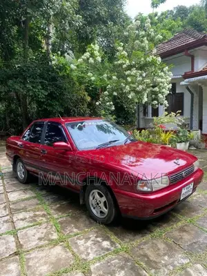 Nissan Doctor Sunny 1993 Car (Used)