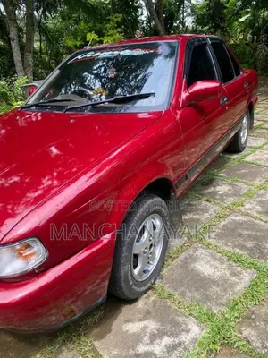 Nissan Doctor Sunny 1993 Car (Used)