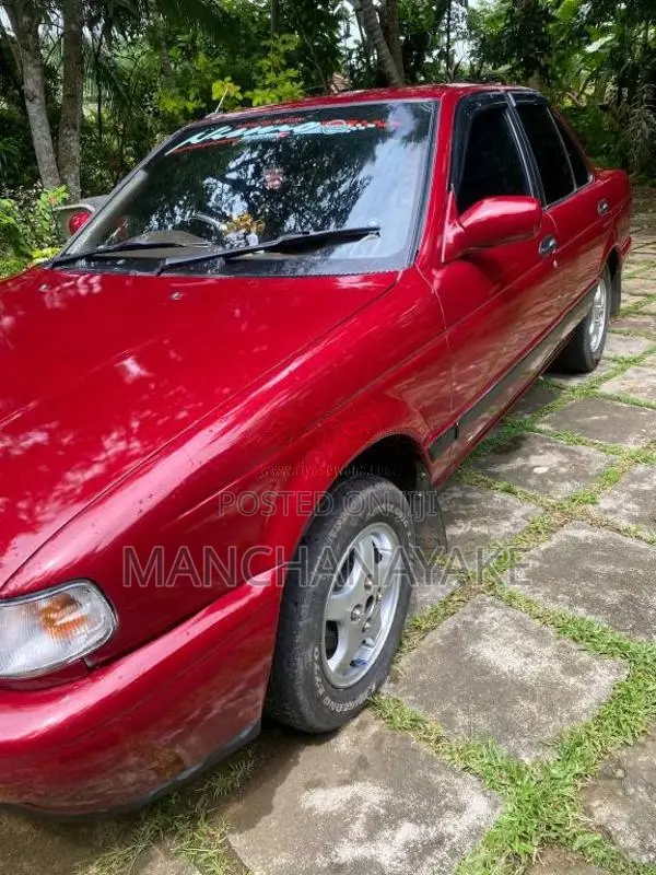 Nissan Doctor Sunny 1993 Car (Used)