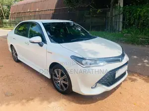 Toyota Axio WXB 2017 Car (Used)