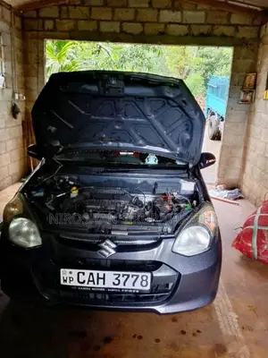 Suzuki Alto 800 LXI 2015 Car (Used)