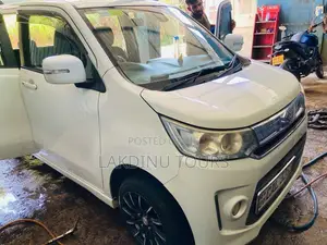 Suzuki Wagon R 2014 Car (Used)