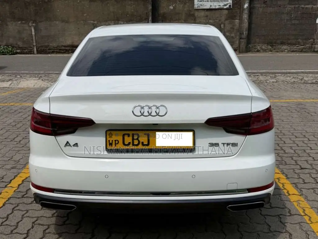 Audi A4 2019 Car (Used)