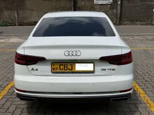Audi A4 2019 Car (Used)