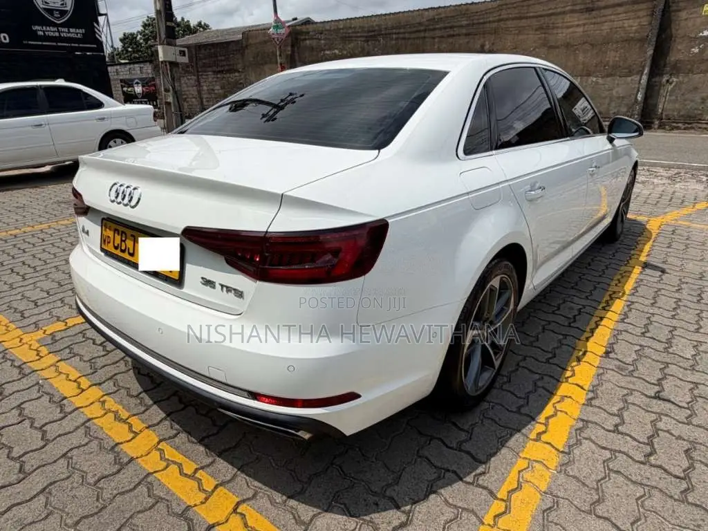 Audi A4 2019 Car (Used)