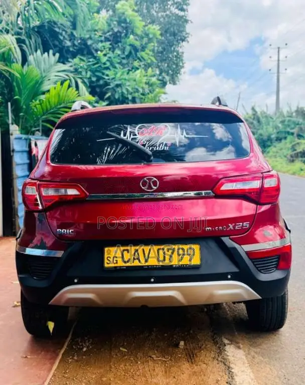 Micro Baic 2018 Car (Used)