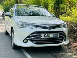 Toyota Axio G 2015 Car (Used)