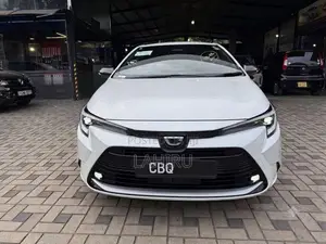 Toyota Corolla WxB 2023 Car (Used)
