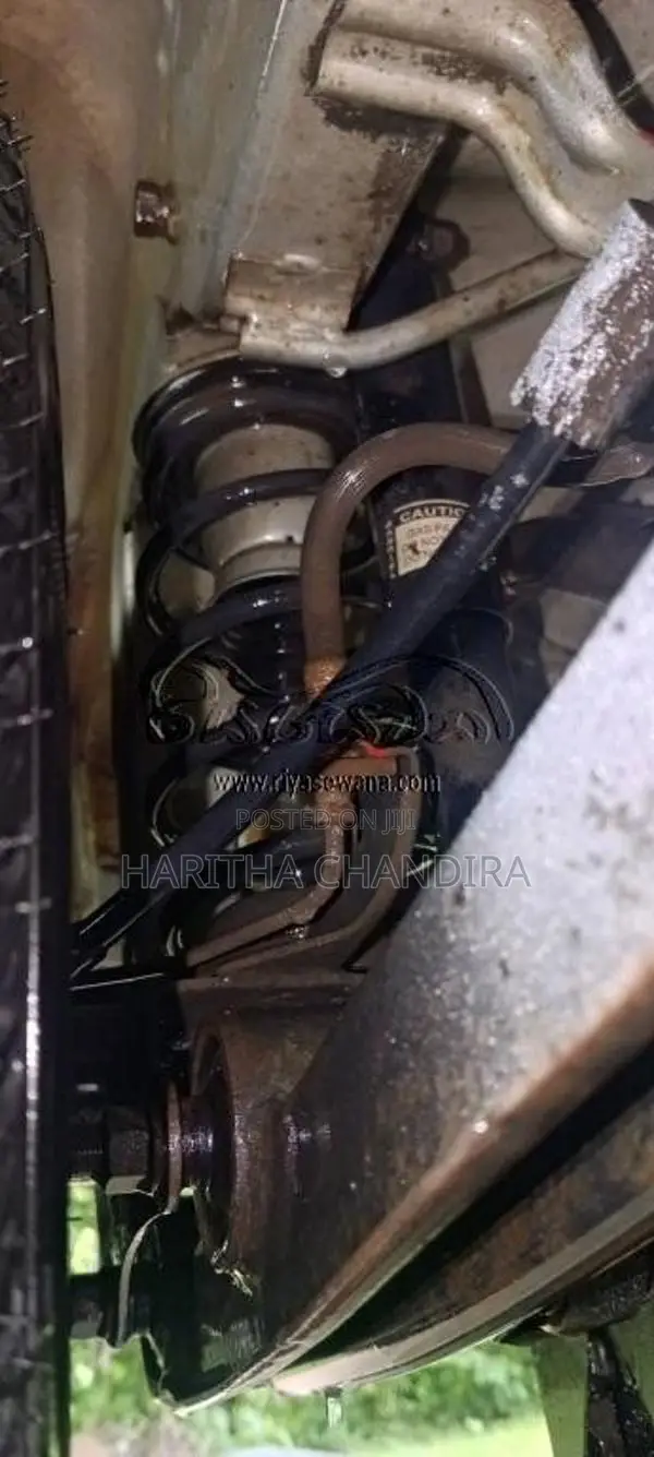 Suzuki Maruti 800 2005 Car (Used)
