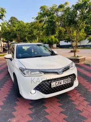 Toyota Axio 2017 Car (Used)