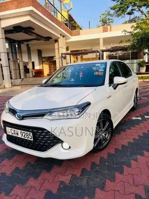 Toyota Axio 2017 Car (Used)