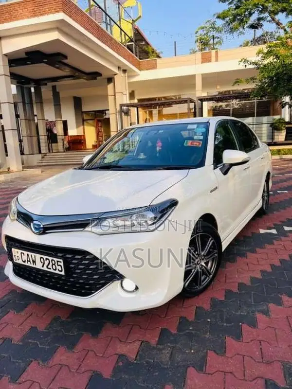 Toyota Axio 2017 Car (Used)