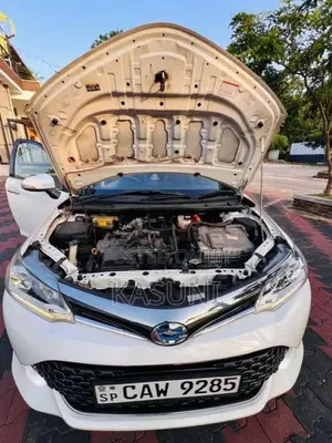Toyota Axio 2017 Car (Used)