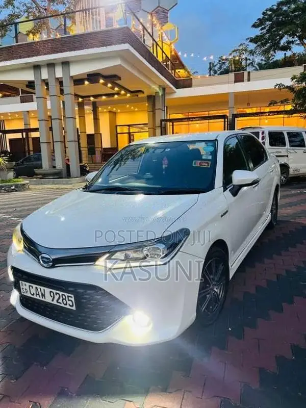 Toyota Axio 2017 Car (Used)