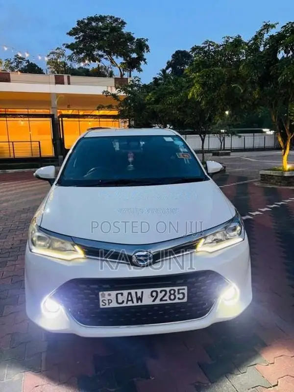 Toyota Axio 2017 Car (Used)