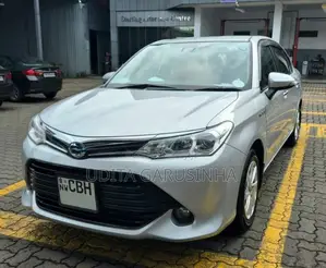 Toyota Axio 2018 Car (Used)