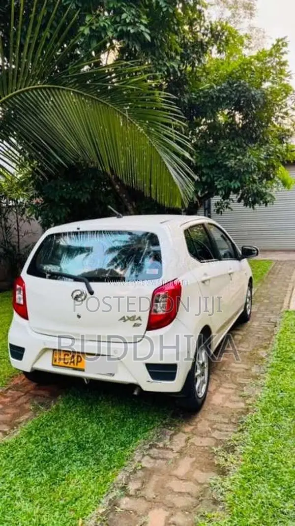 Perodua Axia 2016 Car (Used)