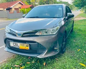 Toyota Axio 2018 Car (Used)