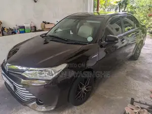 Toyota Axio 2015 Car (Used)
