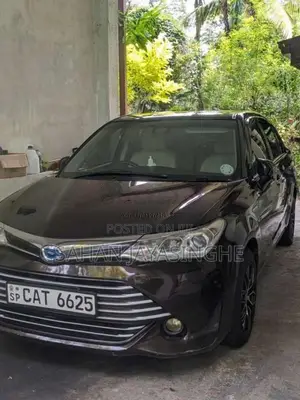 Toyota Axio 2015 Car (Used)