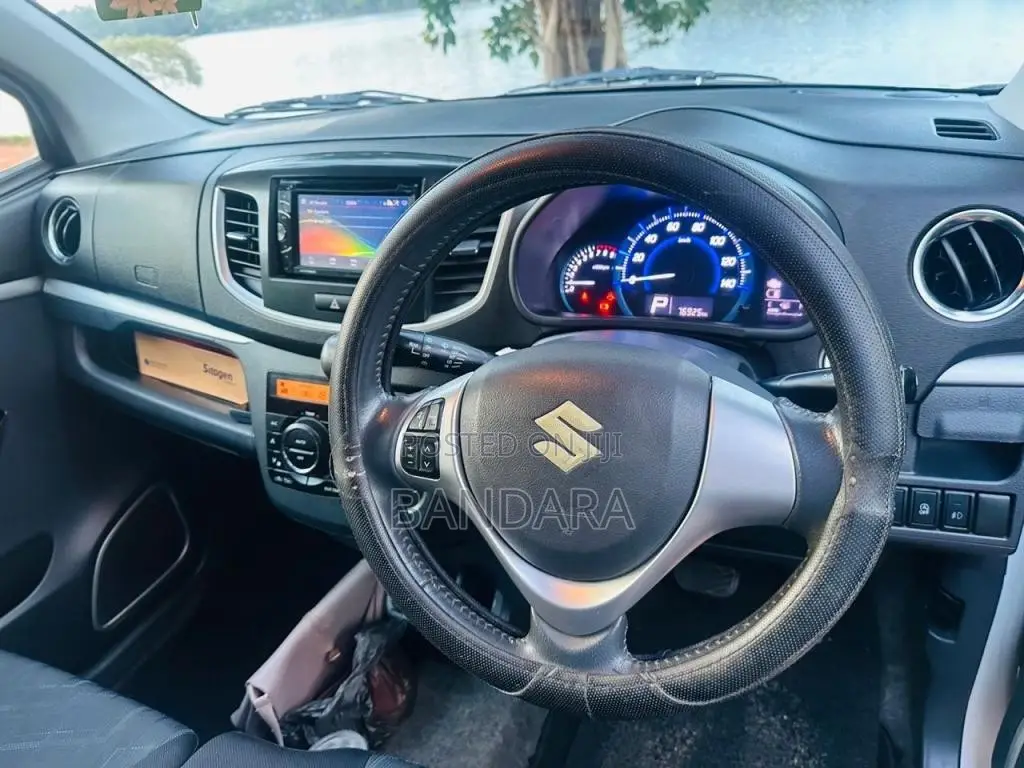 Suzuki Wagon R 2014 Car (Used)
