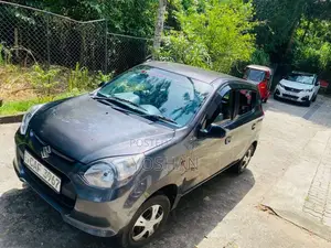 Suzuki Alto 2015 Car (Used)