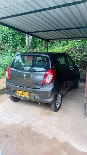 Suzuki Alto 2015 Car (Used)