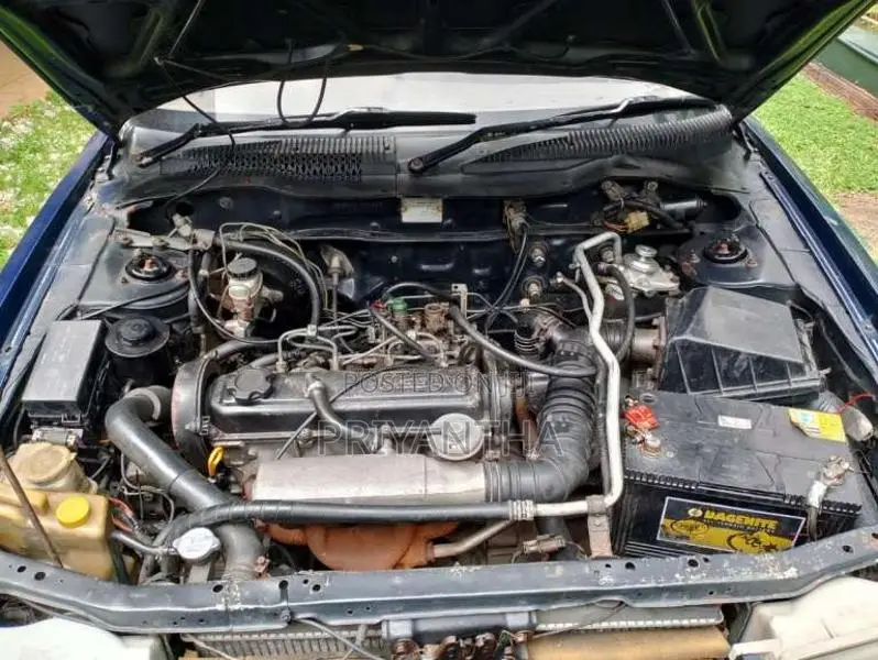 Nissan Sunny FB13 1993 Car (Used)