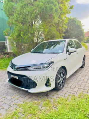Toyota Axio 2018 Car (Used)