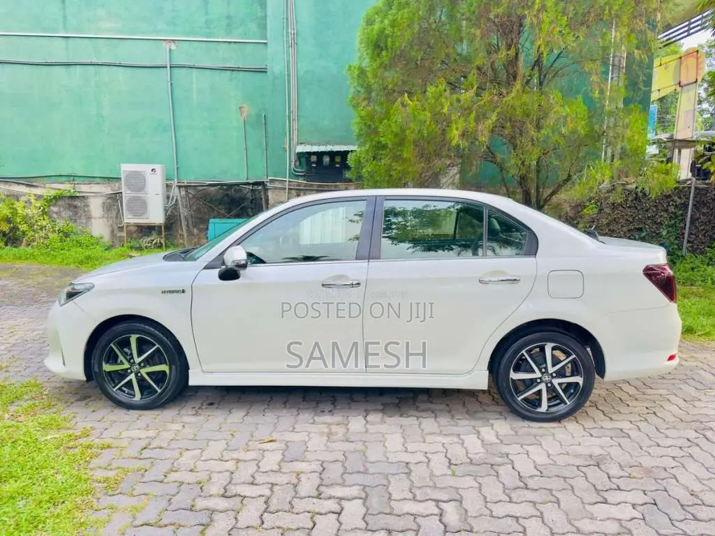 Toyota Axio 2018 Car (Used)