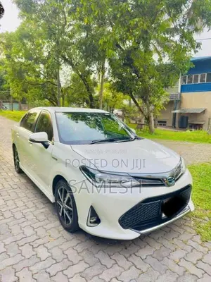 Toyota Axio 2018 Car (Used)