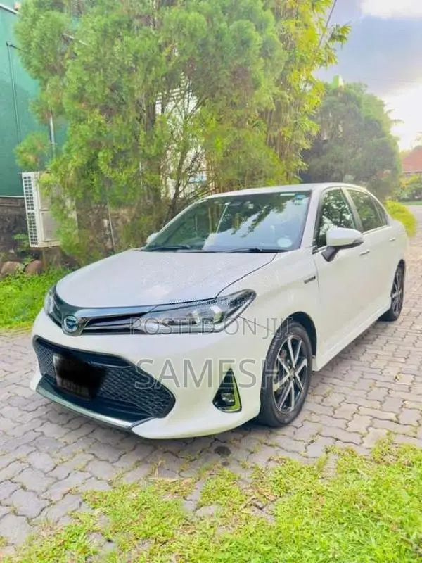 Toyota Axio 2018 Car (Used)