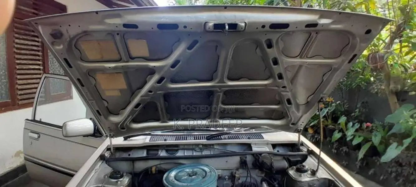 Nissan HB11 Sunny 1984 Car (Used)