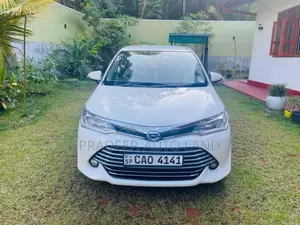 Toyota Axio 2015 Car (Used)