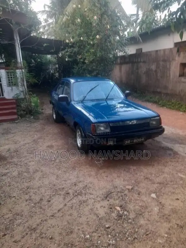 Isuzu Gemini 1980 Car (Used)