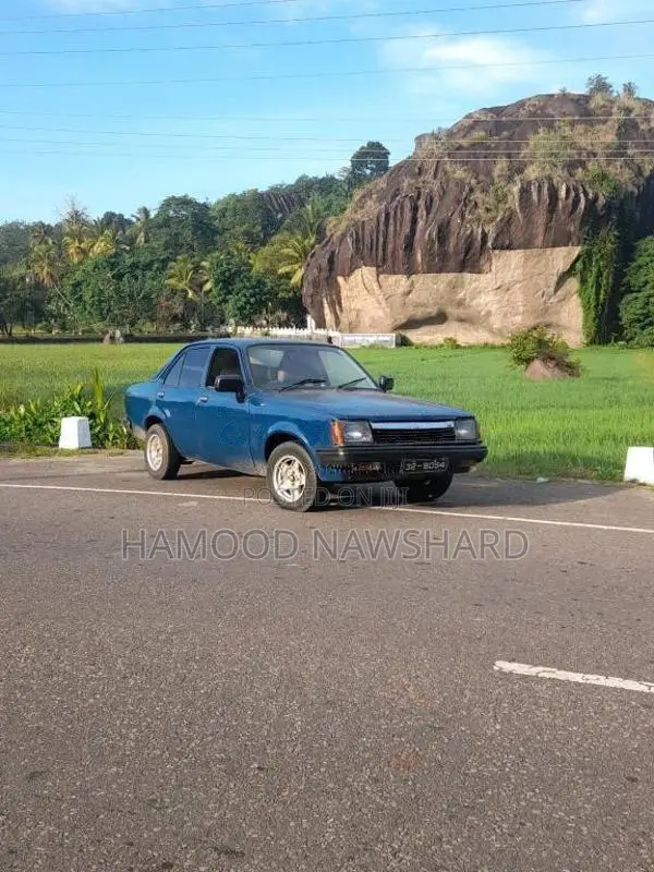 Isuzu Gemini 1980 Car (Used)