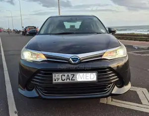Toyota Axio 2016 Car (Used)