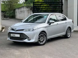 Toyota Axio 2016 Car (Used)