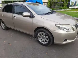 Toyota Axio 2008 Car (Used)