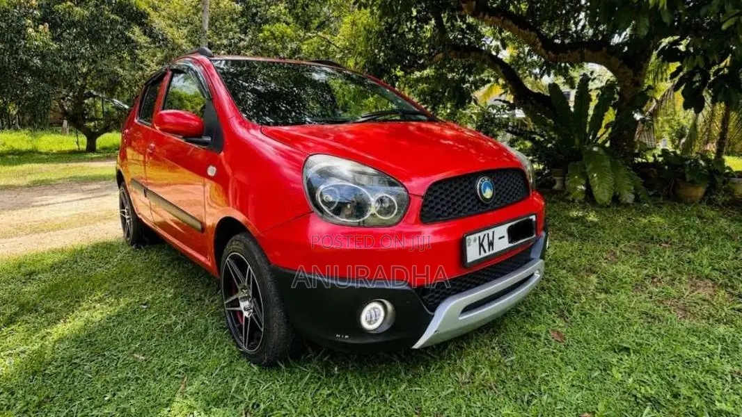 Micro Panda Cross 2013 Car (Used)