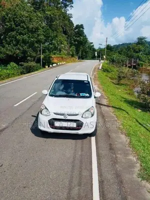 Suzuki Alto 2015 Car (Used)