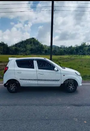 Suzuki Alto 2015 Car (Used)