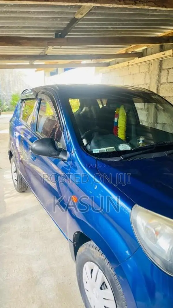Suzuki Alto 2015 Car (Used)
