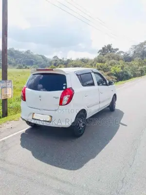 Suzuki Alto 2015 Car (Used)