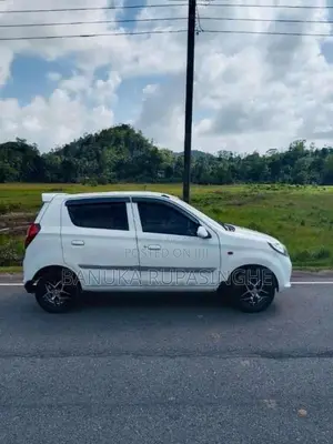 Suzuki Alto 2015 Car (Used)