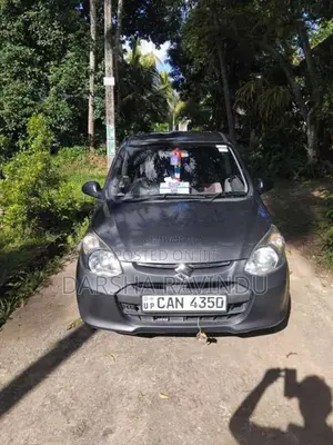 Suzuki Alto 2015 Car (Used)