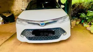 Toyota Axio 2015 Car (Used)