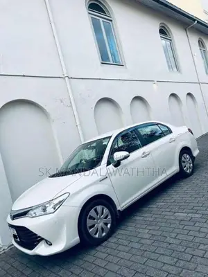 Toyota Axio 2017 Car (Used)